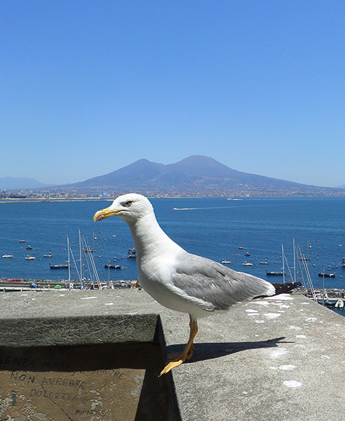 Around Naples, il sito web sui Dintroni di napoli around naples
